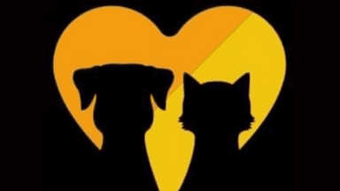 logo customizável